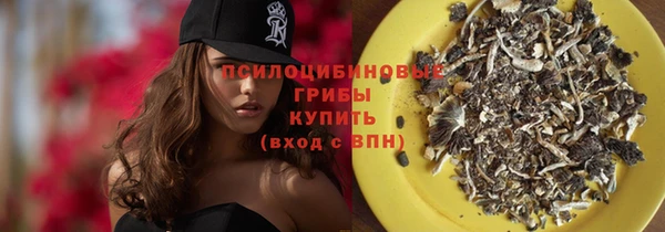 мяу мяу мука Абаза
