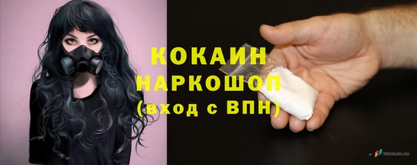 мяу мяу мука Абаза