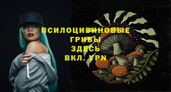 мяу мяу мука Абаза